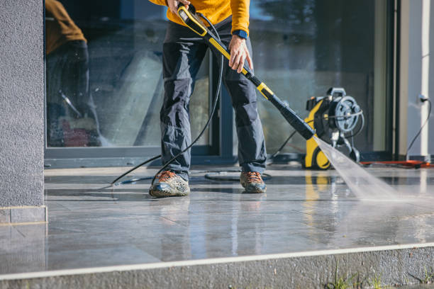 Animal Enclosure Cleaning in Lockhart, FL